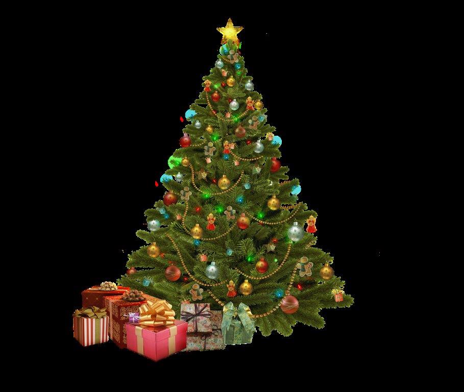 christmas tree 2023