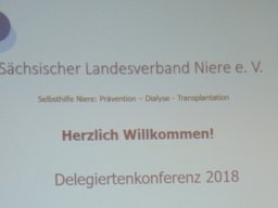 Delegiertenkonferenz 2018